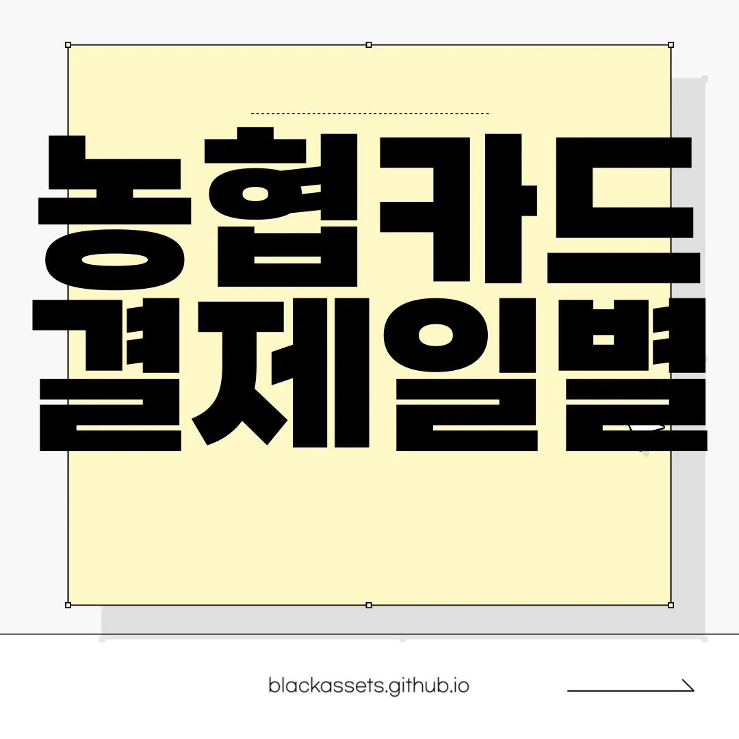 농협카드-결제일별-사용기간-정확한-정보